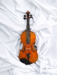 #506 (이탈리안 바이올린)